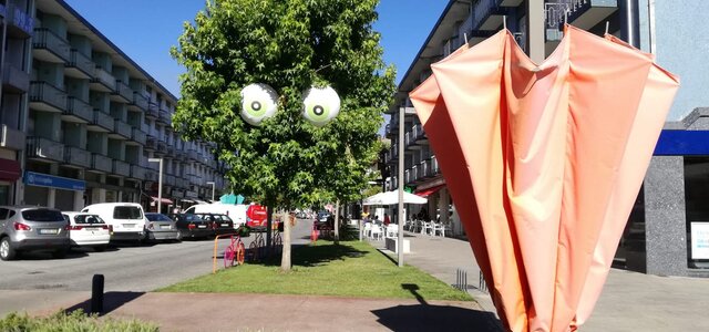 106991310_10158330516264098_7595191314141912872_o