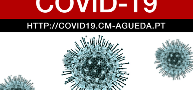 91778580_10158018545059098_4940944331667144704_n_1_1024_2500_1_1024_2500