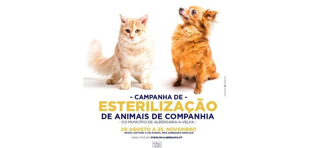 campanha_esterilizacao_imagem_site_8a