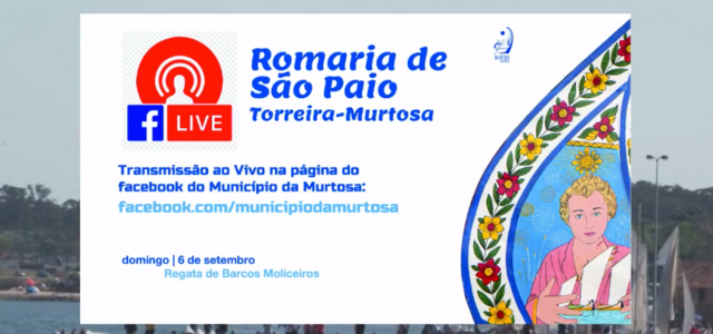 regata_de_barcos_moliceiros