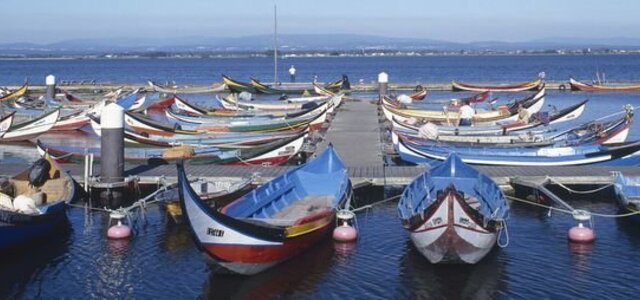 20131213154658209912