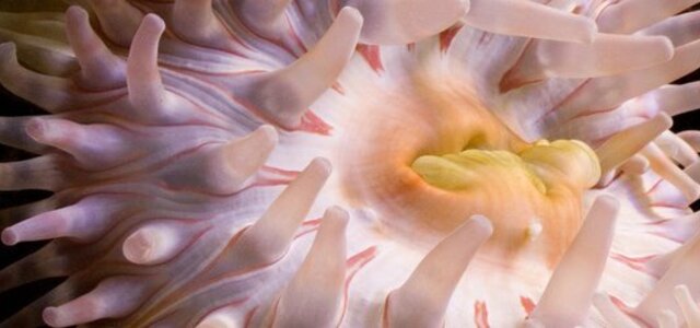 20140116150604669228