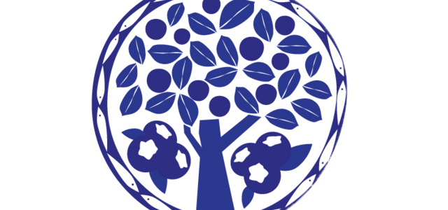 cmsv_logo_vectorized_simple