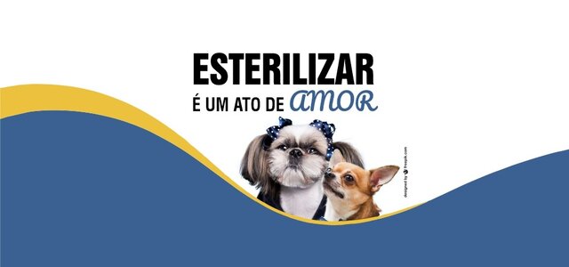 esterilizacao___noticias