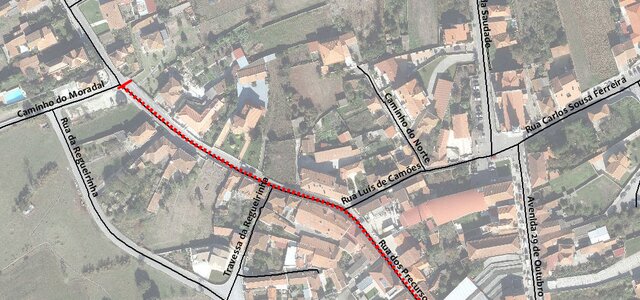 124003024_3405353756209609_2801677089536923685_o