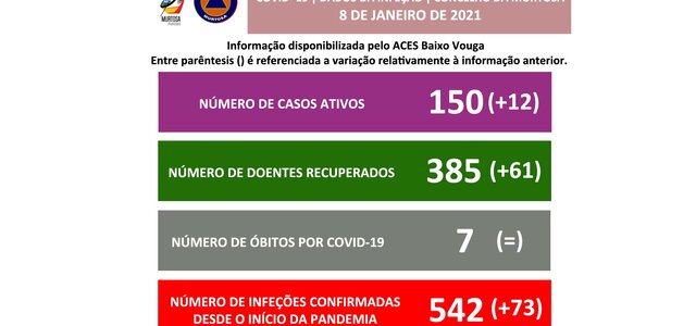 divulgacao_aos_cidadaos_template8jan2021