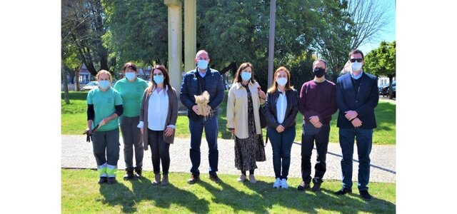 plantacao_de_arvore22