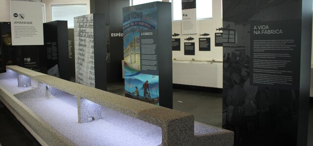 169137124_3804240536320927_6177560187236568553_n