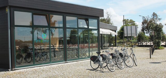 186453545_3912521122159534_1811956429762651490_n