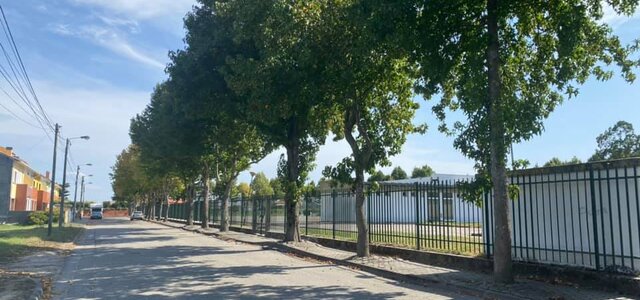 119564467_3357546820990665_7215552216085817315_n