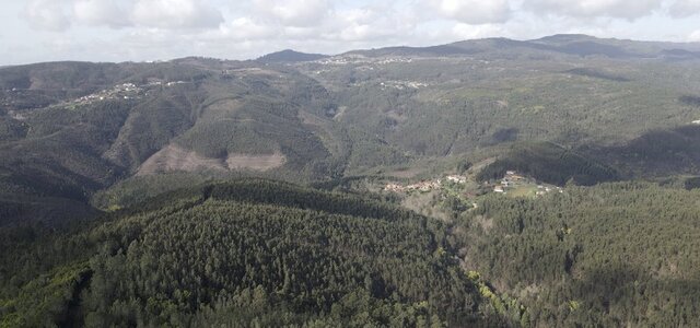 whatsapp_image_2021_03_01_1_1024_2500