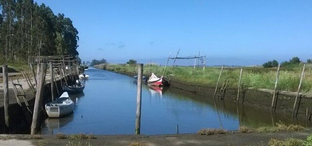 20151111162545814979