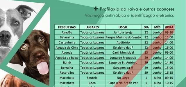 vacinacao_antirrabica