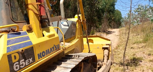 caminhos_florestais1