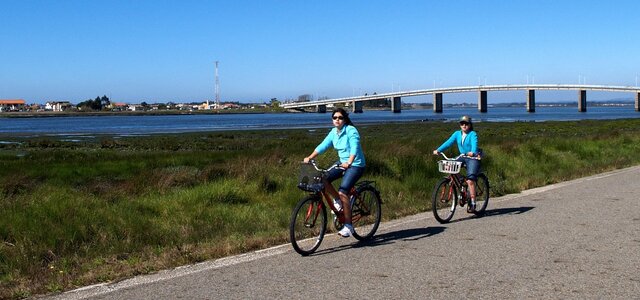 20170410102829343395