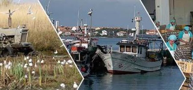 20170626165020609882