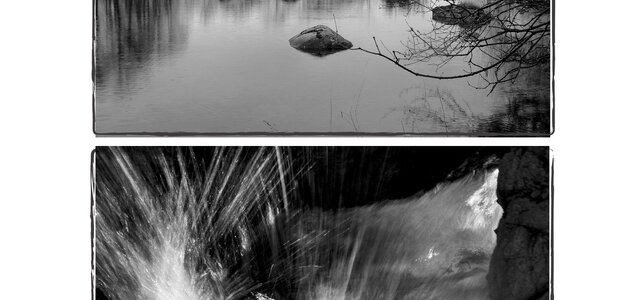 exposicaonatureza_01_01_01