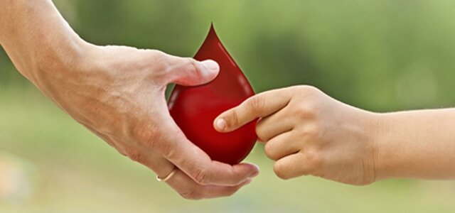 225316486_4142861675792143_8698623729648917469_n