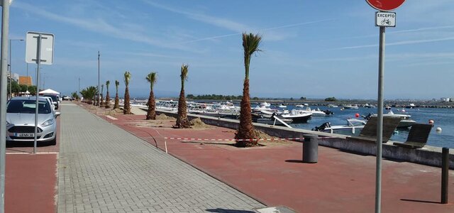 novas_palmeiras_sao_jacinto_2