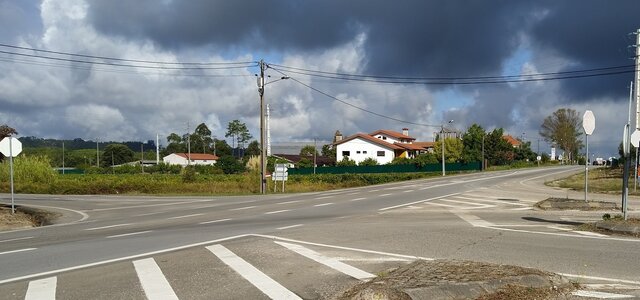 peneireiro_cruzamento10