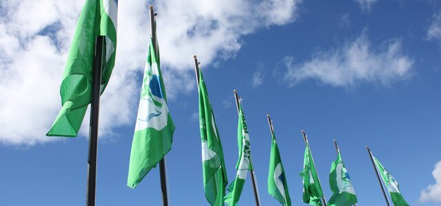 bandeira_verde