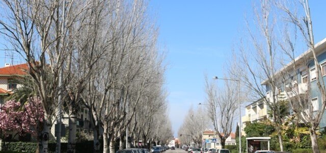 av25abril_1_1024_2500