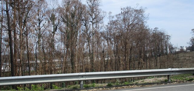 20181025110559502982