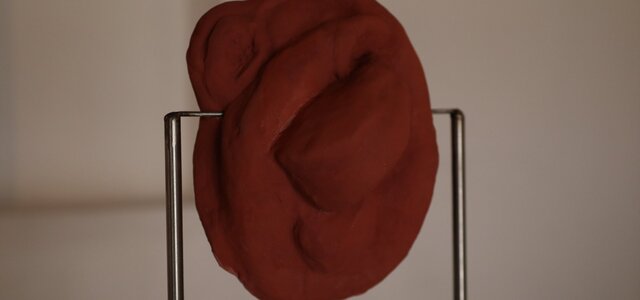 269715122_625288635556851_2110122349823729935_n