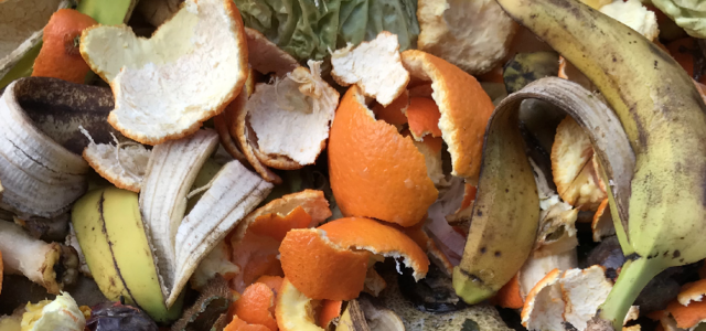 alimentares_1200_20394407115ec08467e73f1