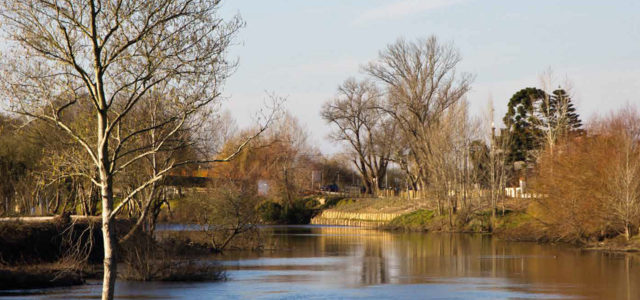 trilho_das_cegonhas__1_1024_2500