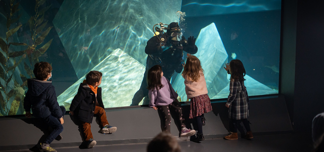 ferias_divertidas_mmi