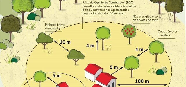 gestao_faixas_combustivel