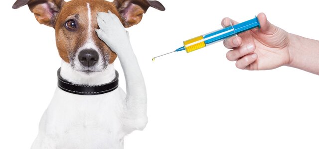 imagem_para_sevico_de_vacinacao