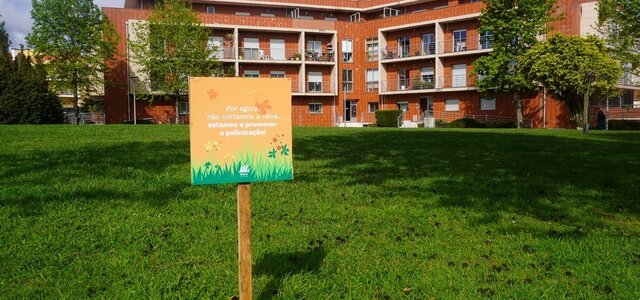 por_agora_nao_estamos_a_cortar_a_relva