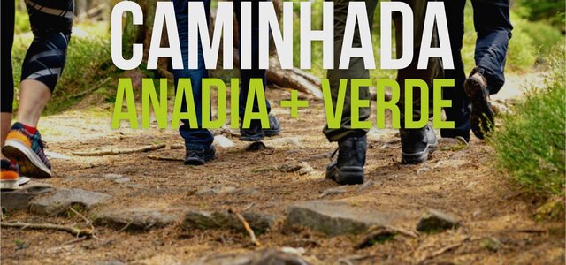 layout_noticia_principal_caminhada