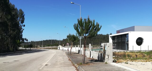 zi_vilarinho_bairro__arquivo_