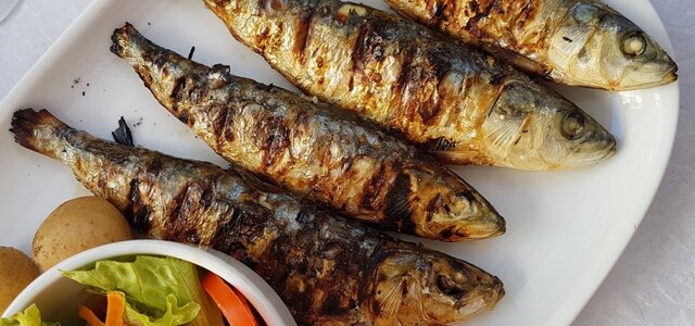 sardinha_1