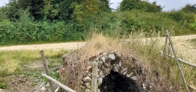 20210607_104140cuba_768x1024