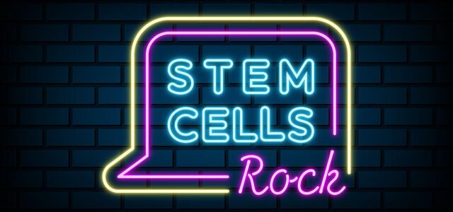 stem_cells_rock
