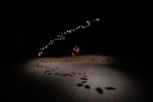 lr_plate_studio_231005_174856_8083_enhanced_nr_edit