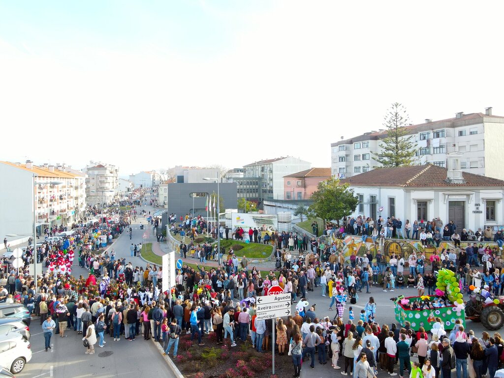 desfile_de_carnaval_oliveira_do_bairro_2024__7_