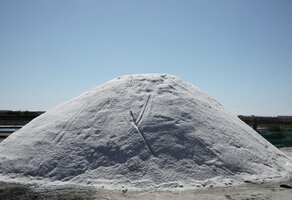 jose_macas_de_carvalho_sal_aveiro_2023