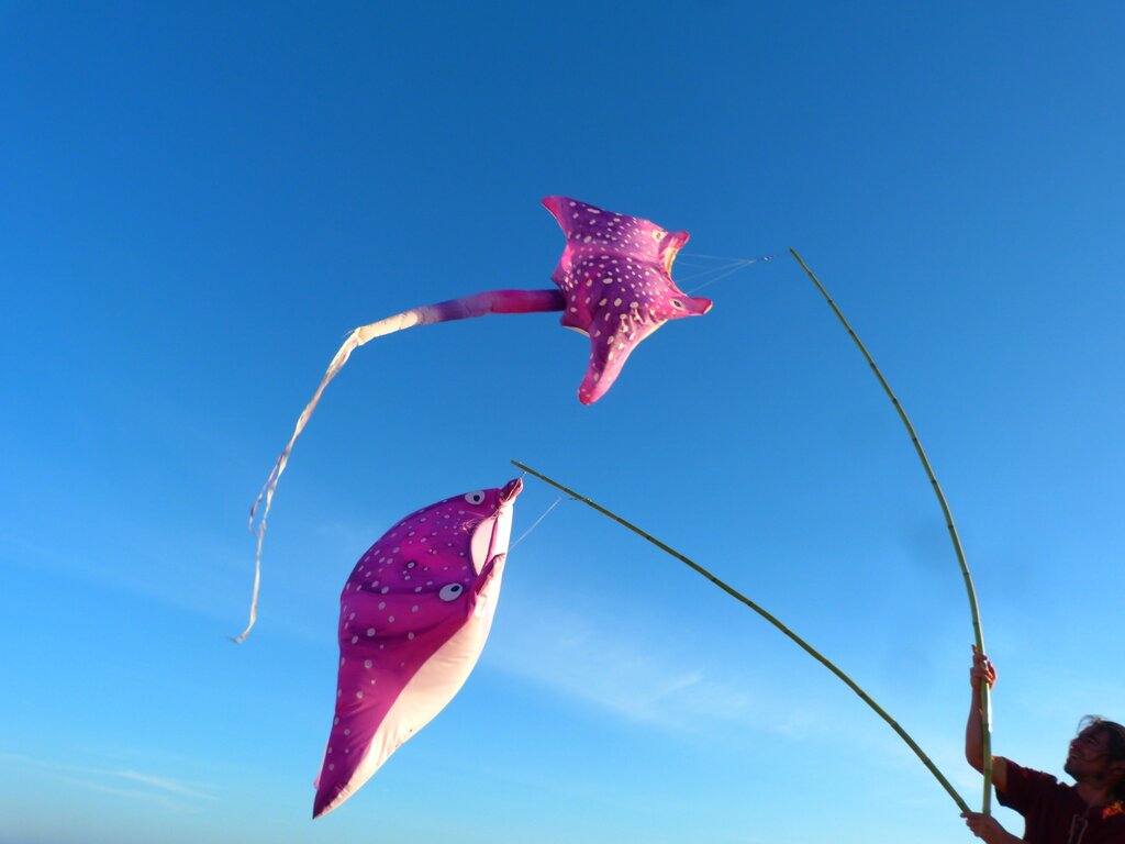 ceu_salgado_foto_divulgacao