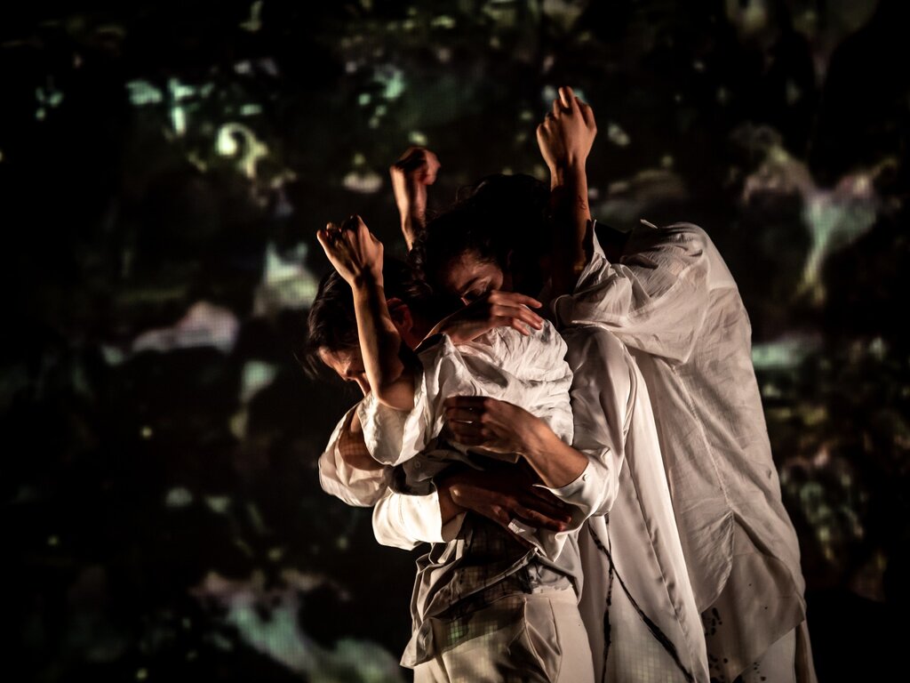 olgaroriz_cred_francisco_cardoso