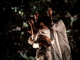 olgaroriz_cred_francisco_cardoso