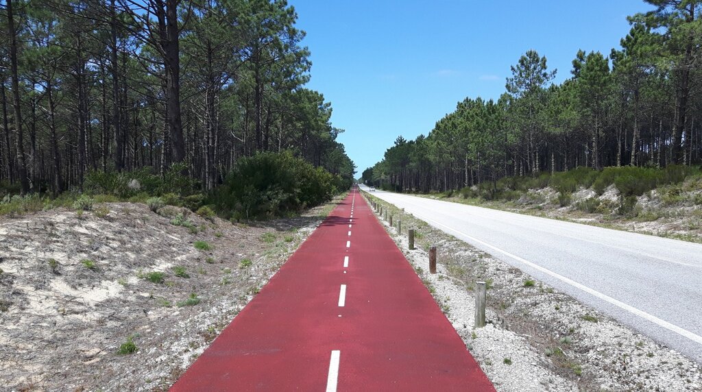 Abertura Concurso - Beneficiação da Estrada Florestal n.º 1