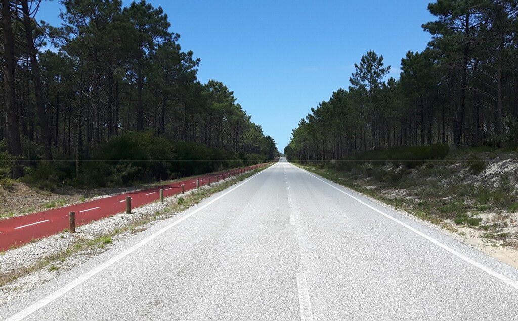 Abertura Concurso - Beneficiação da Estrada Florestal n.º 1
