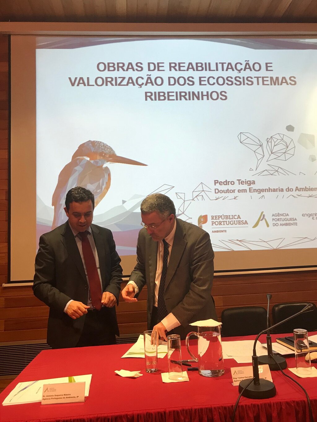 Vagos vai requalificar as linhas de água afetadas pelos incêndios de 2017   