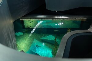 Reabertura do Aquário dos Bacalhaus