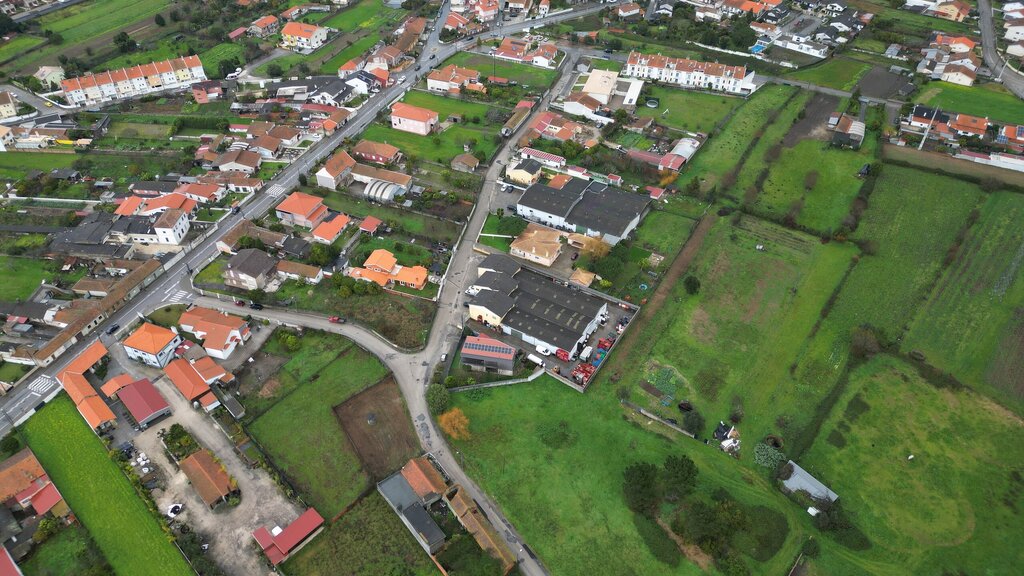 r_correguinho_cacia_01